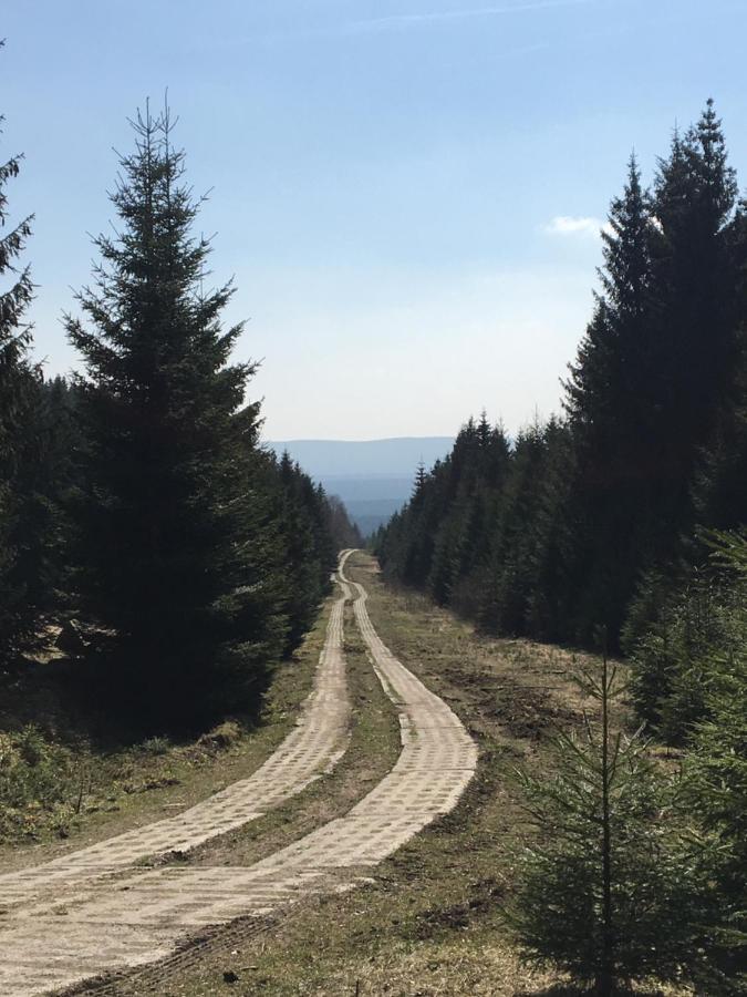 Kleine Harzflucht *